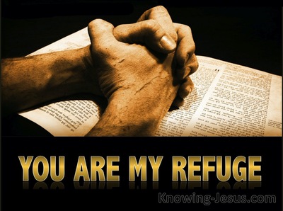 Jeremiah 17:17 You Are My Refuge (beige)